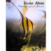 ESCALAR ALTUM - PTEROPHYLLUM ALTUM