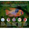GOLDFISH PELLETS - Gold Fish, Bailarinas y Carpas - Omega One - Imagen 8