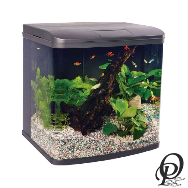 GT AQUARIUM – Acuarios y Accesorios para un Ecosistema Vivo en Casa