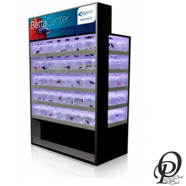 Betta Center – Exhibidores Especializados para Peces Betta