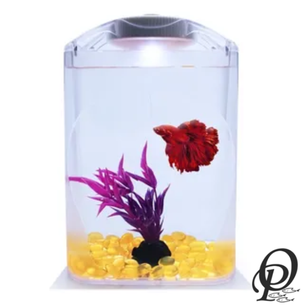 Betta Tower – Exhibidor Vertical para Peces Betta