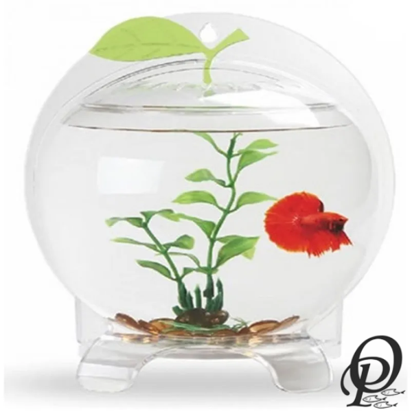 Fancy Apple – Acuario Decorativo con Diseño Curvo y Estética Premium