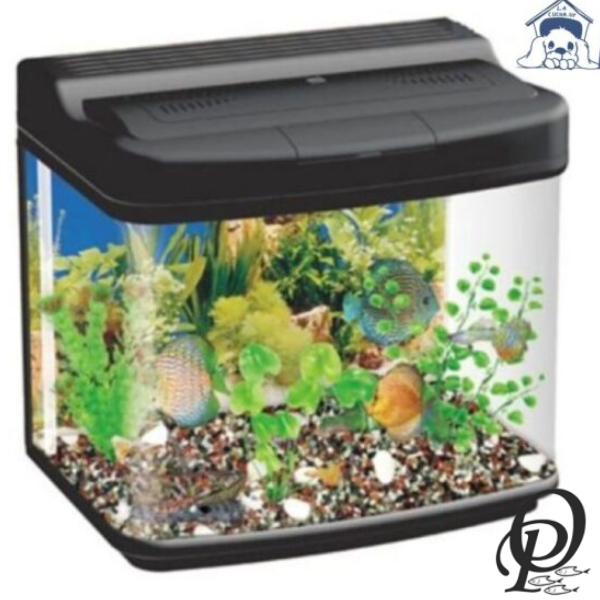 DREAM AQUARIUM – Acuario Decorativo con Iluminación LED y Sistema de Filtración