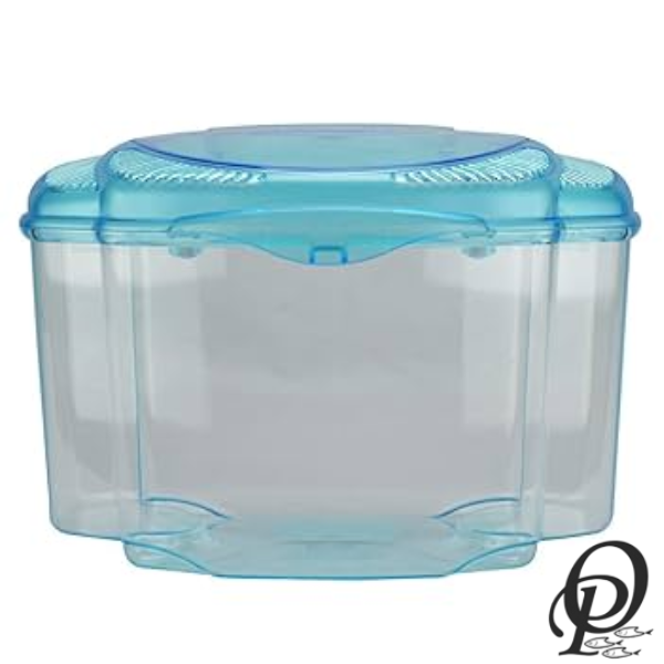 Betera Deluxe – Exhibidor Premium para Peces Betta