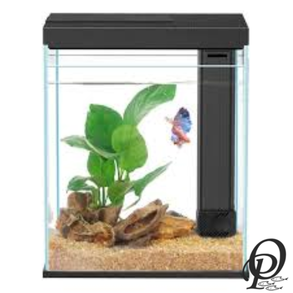 AquaClear Desktop Tank – Acuario Compacto con Filtración Avanzada para Escritorio