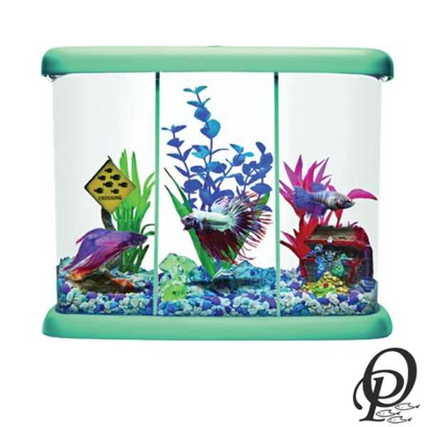 Betta Home 3 – Exhibidor Triple para Peces Betta con Diseño Compacto y Elegante
