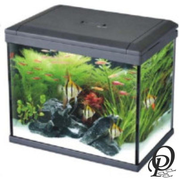ICUBE AQUARIUM – Acuario de Vidrio Curvo para Espacios Modernos