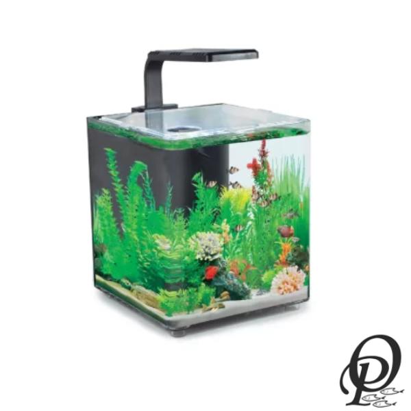 AquaClear Desktop Tank – Acuario Compacto con Filtración Avanzada para Escritorio