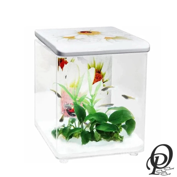 FishHome – Acuario Decorativo para el Hogar u Oficina