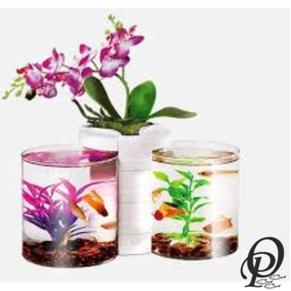 FishHome – Acuario Decorativo para el Hogar u Oficina (2)