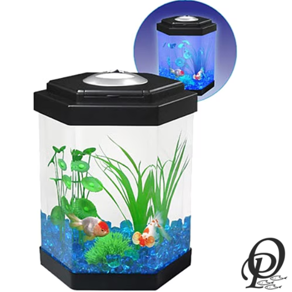 Hex Aquarium – Acuario Hexagonal para Exhibición Decorativa y Compacta